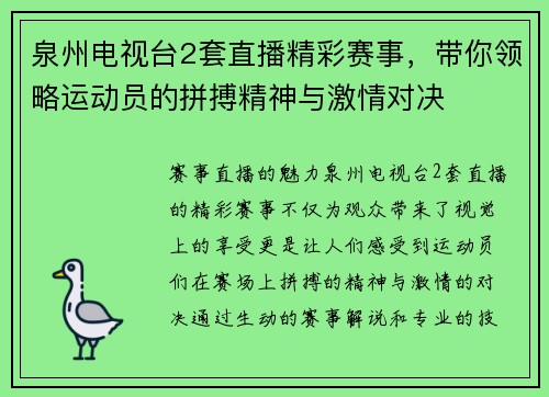 泉州电视台2套直播精彩赛事，带你领略运动员的拼搏精神与激情对决